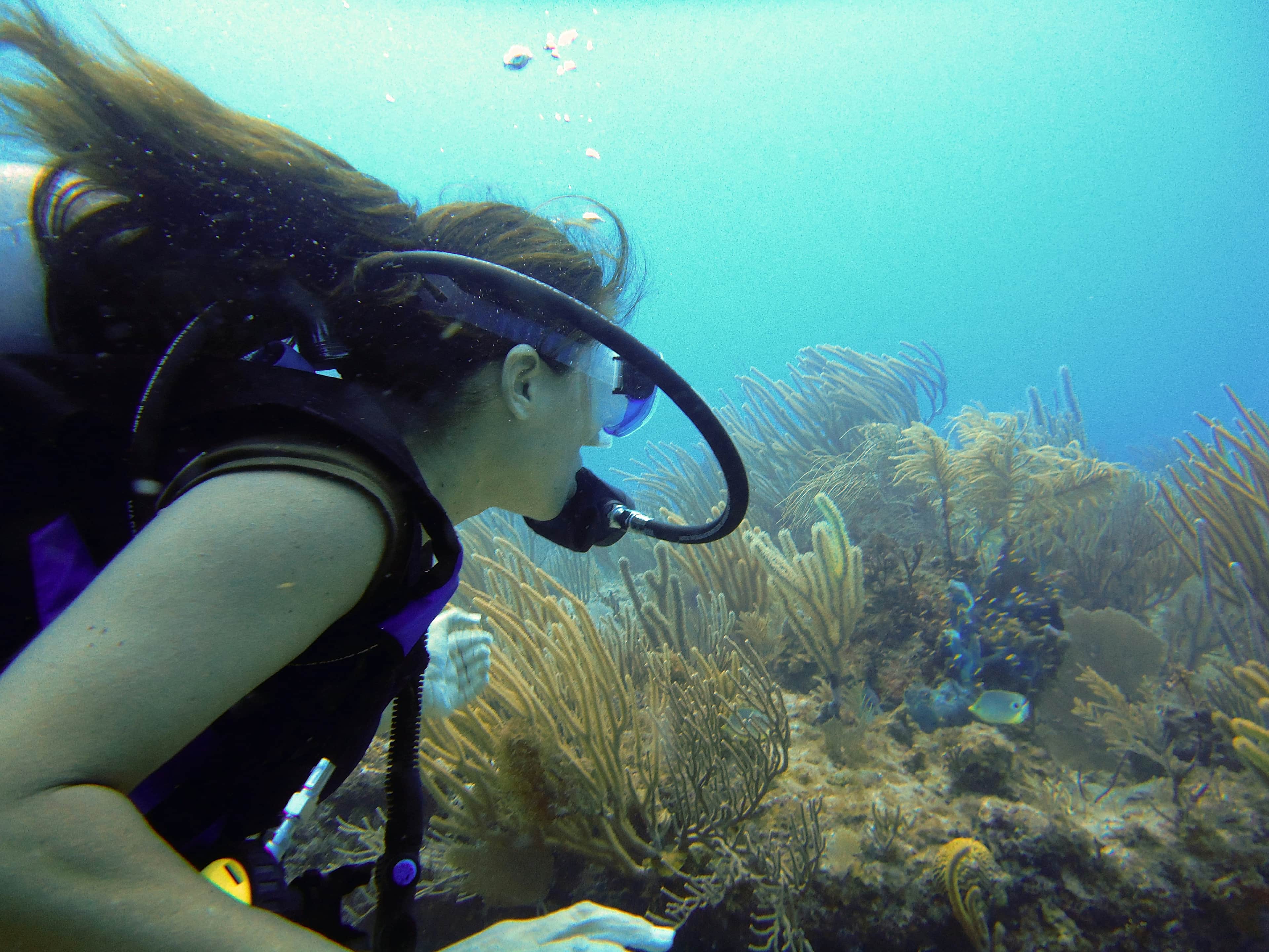 Scuba diver hovering above colorful coral reef with tropical fish surrounding them
