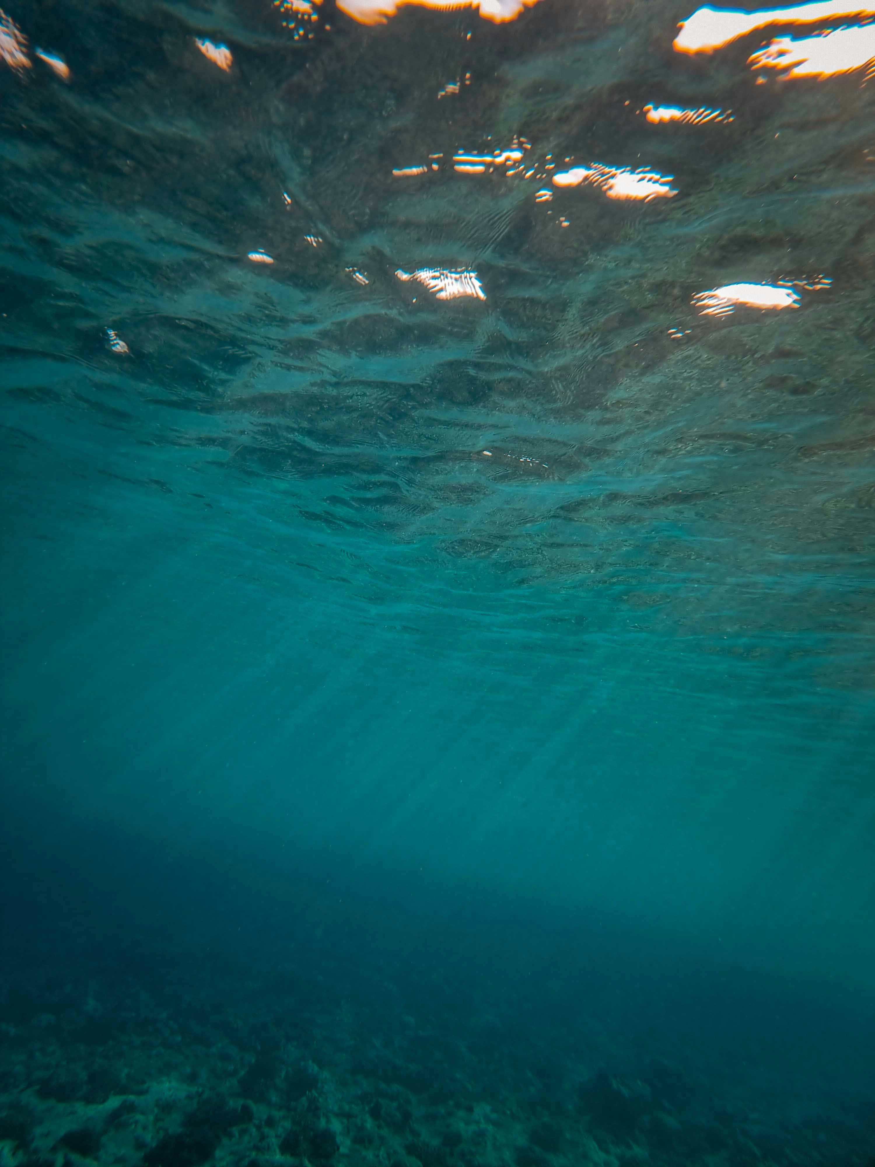 Underwater view looking up at sunlight rays filtering through ocean surface