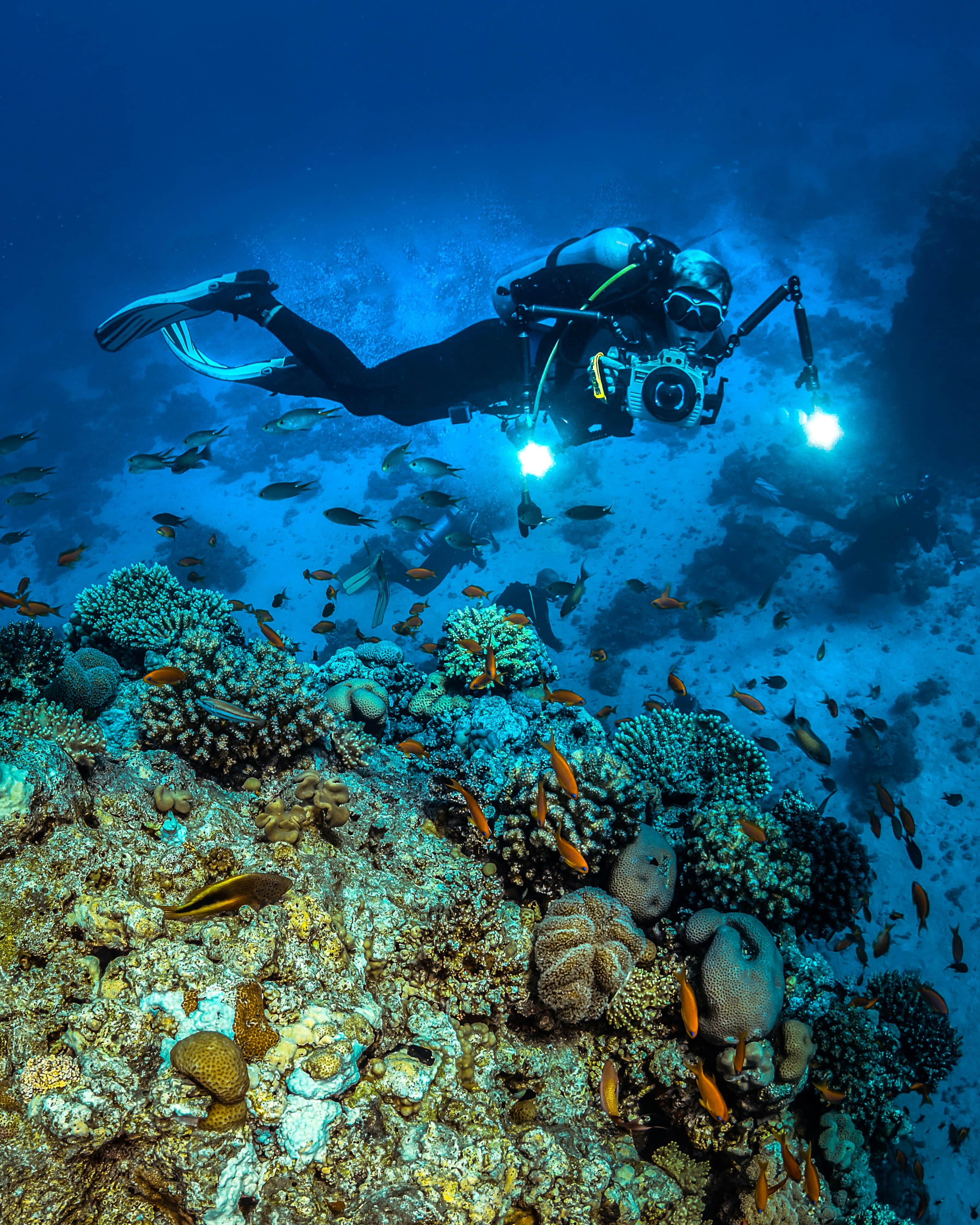 Underwater photographer capturing vibrant coral reef ecosystem with fish